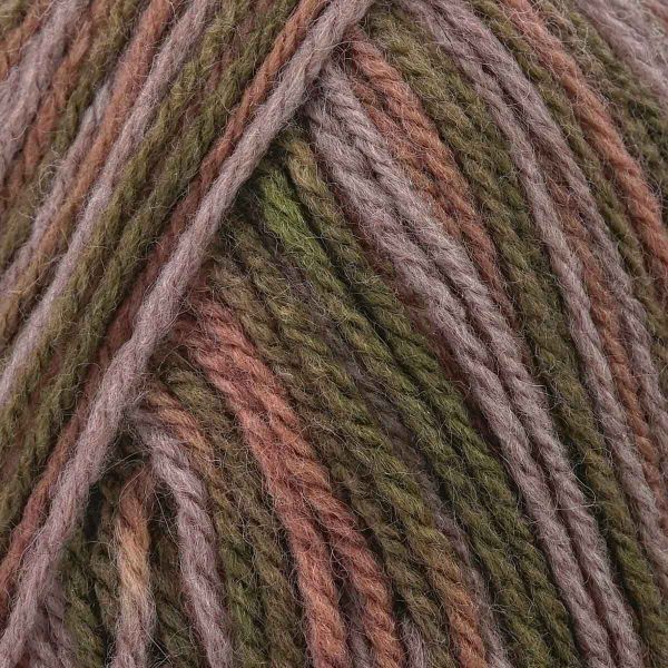 Пряжа Троицкая Подмосковная принт секционный / уп.10 мот. по 100 г, 250 м, 1573М, мох/сиренево-серый мел./кофе