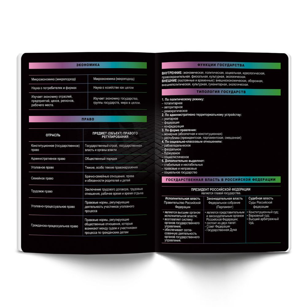 Тетрадь предметная Загадочная история A5+ 48 л. на скобе, белизна 100%, 10 шт, клетка, 48ТСК5/000194 Обществознание, Светоч