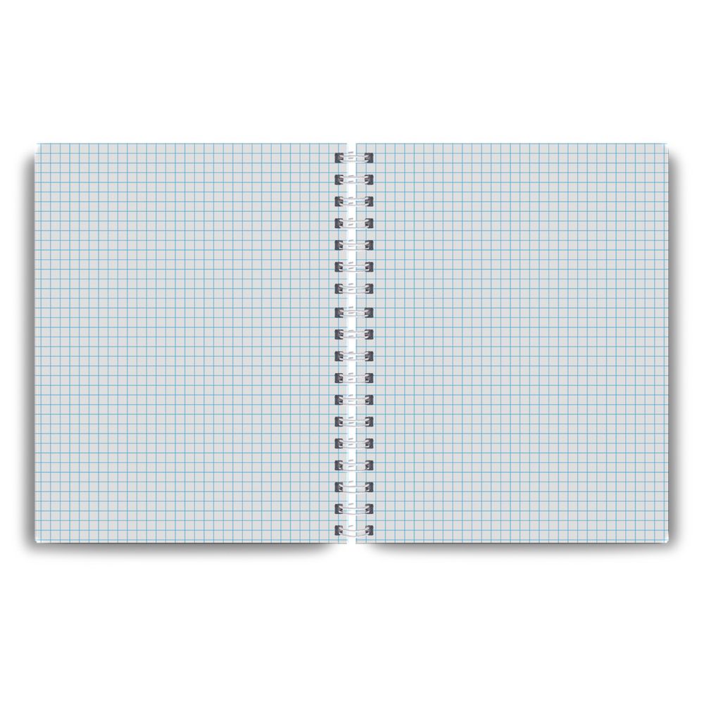 Тетрадь общая с твердой обложкой, глянцевая ламинация A5 80 л. на гребне 65 г/м², белизна 100% 4 шт клетка, 01560 Шторм, Светоч Т215