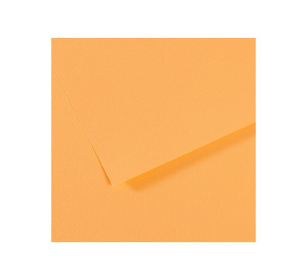 Бумага для пастели 160 г/м², 75х110 см, 25 листов, №470 кукурузный, Canson Mi-Teintes C200321147