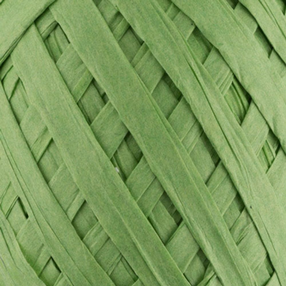Рафия бумажная 5х20.5 г,±5 г, 30 м, 05 зеленый, Blumentag