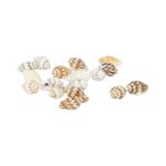 Ракушки декоративные 15х10 мм, 100 г (5х20 г), №01 натуральный, Zlatka D20-29