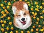 Картина по номерам Фрея, Радостный корги, 40х30 см