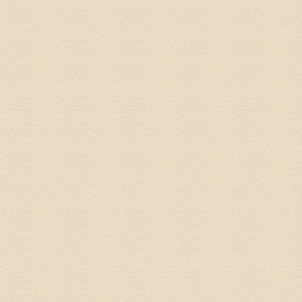 Бумага цветная 300 г/м², 50х70 см, 25 шт, 28 слоновая кость/ivory, Vista-Artista MFO-AA