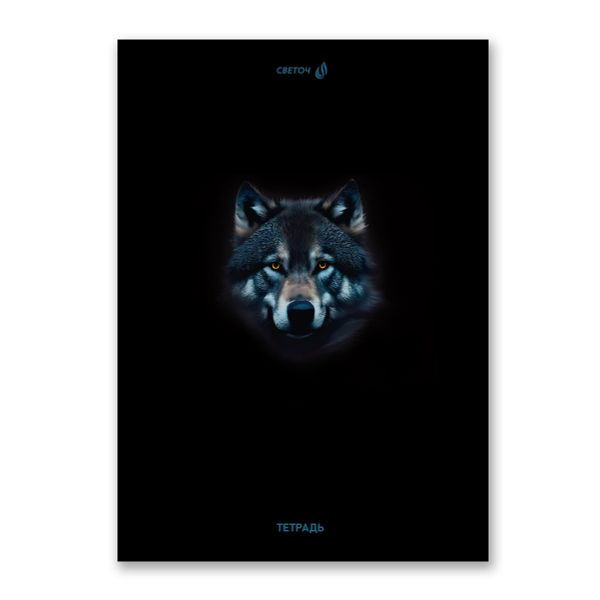 Тетрадь ученическая общая, A4 96 л. на скобе 65 г/м², белизна 100 %, 6 шт, клетка, 01353 Сила и скорость, Светоч Т156