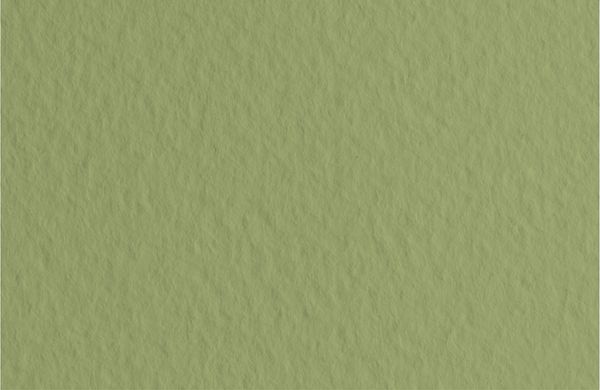 Бумага для пастели 160 г/м², 50х65 см, 10 листов, Muschio/оливковый, Fabriano