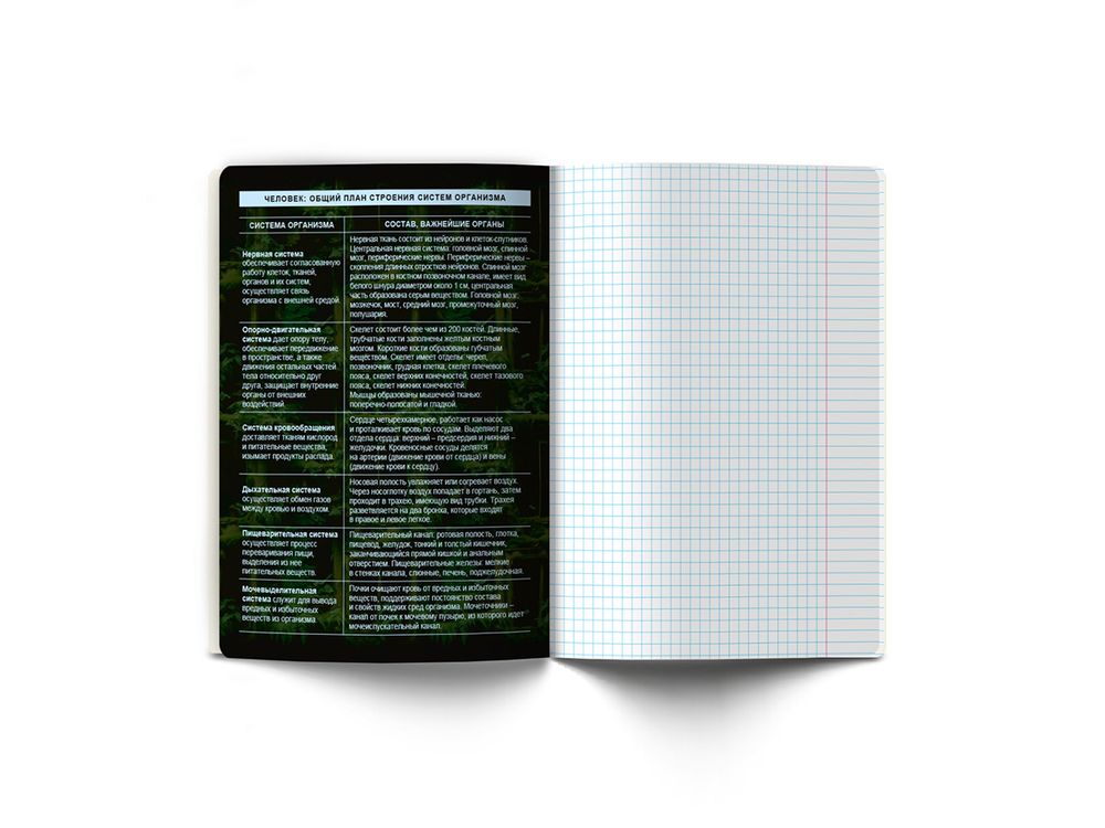 Тетрадь со справочным материалом Эволюция, глянцевая ламинация, A5+ 48 л. на скобе 65 г/м², белизна 100%, 10 шт, клетка, 00877 Биология, Светоч 48Т5