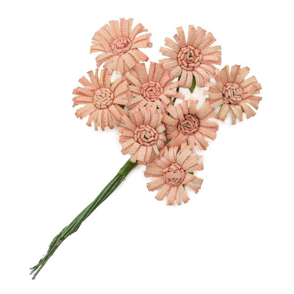 Цветы искусственные Маргаритка из бумаги, 8 шт, SCB, SCB281402 персиковые