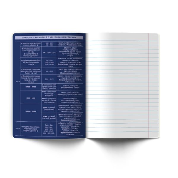 Тетрадь со справочным материалом Золотые главы, тисн.золот.фольгой, A5 48 л. на скобе 65 г/м², белизна 100% 10 шт линия, 01858 Золотые главы Русский язык, Светоч Т287