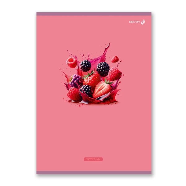 Тетрадь ученическая общая, A4 48 л. на скобе 65 г/м², белизна 100 %, 6 шт, клетка, 01340 Секрет вкуса, Светоч Т152