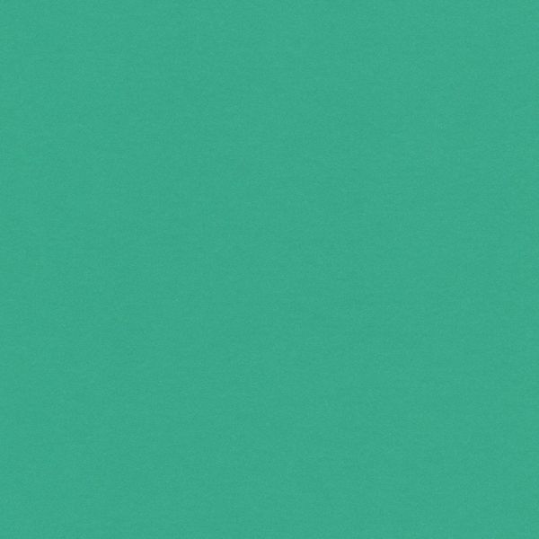 Бумага цветная 120 г/м², A4 21х29.7 см, 50 шт, 24 светло-зеленый/light green, Vista-Artista