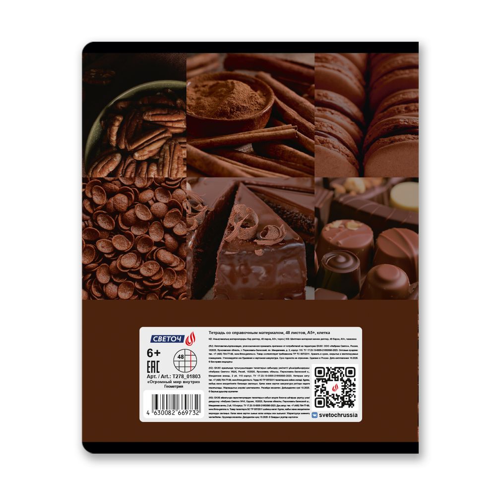 Тетрадь со справочным материалом Огромный мир внутри, A5 48 л. на скобе 60 г/м², белизна 90% 10 шт клетка, 01803 Огромный мир внутри Геометрия, Светоч Т278