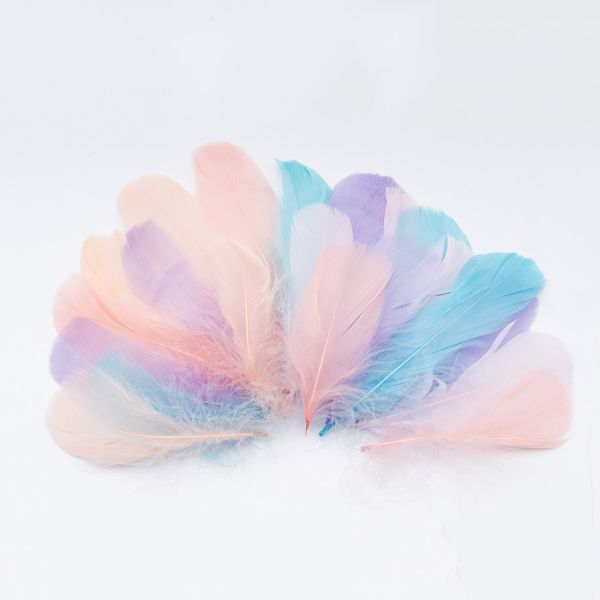 Перо гусиное обработанное нежный микс, 10-13см, 20 шт, XQ-660330