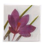 Салфетки 33х33см, 2-х слойные AY, 20 шт/упак (AY-1666)