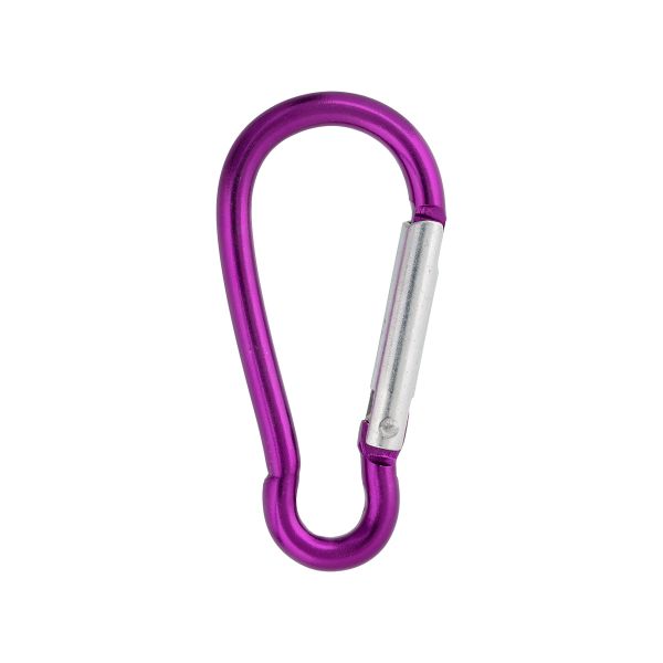 Карабин металл 20.0 мм (58х27 мм), 10 шт, 09 фиолетовый, Gamma GH 120/25/10