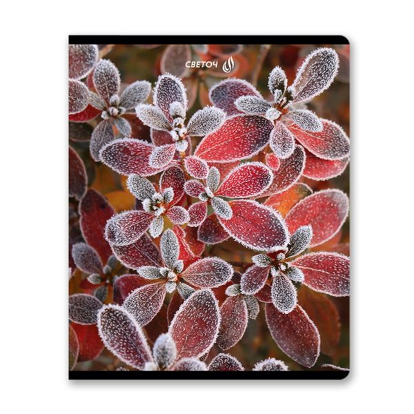 Тетрадь ученическая общая, глянцевая ламинация A5 48 л. на скобе 65 г/м², белизна 100% 10 шт клетка, 01503 Морозная свежесть, Светоч Т71