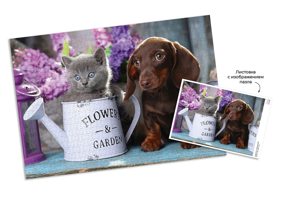 Пазл 1000 элементов, Цветы жизни, PZL-1000/32, Фрея