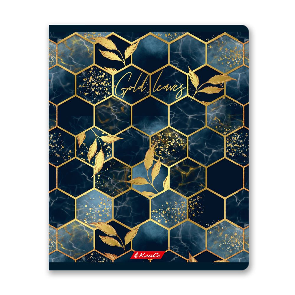 Тетрадь ученическая общая, матовая ламинация + тиснение золотой фольгой, A5+ 48 л. на скобе 65 г/м², белизна 100%, 10 шт, клетка в термоусадочной пленке, 000738 Созвездие успеха, Светоч 48ТЕТк-008