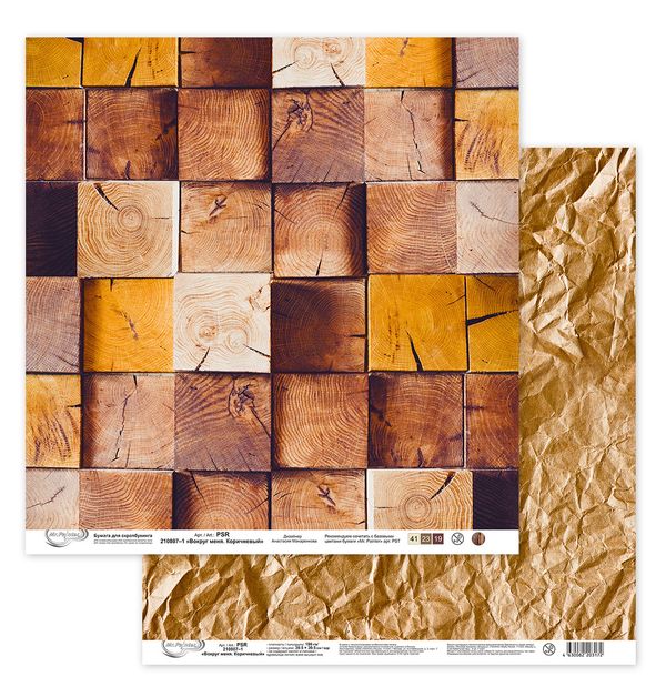 Бумага для скрапбукинга Вокруг меня. Коричневый 190 г/м², 30.5х30.5 см, 10 шт, 1, Mr.Painter PSR 210807