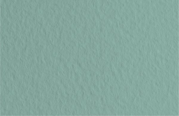 Бумага для пастели 160 г/м², 50х65 см, 10 листов, Salvia/т.шалфейный, Fabriano