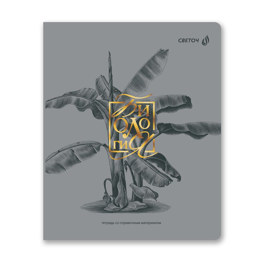 Комплект тетрадей со справочными материалами Архивариус, пластик.обл. 320мкм с тис.золот.фольгой. A5 48 л. 12 шт на скобе 65 г/м², белизна 100% 1 шт клетка/линия, 01889 12 предметов, Светоч Т300