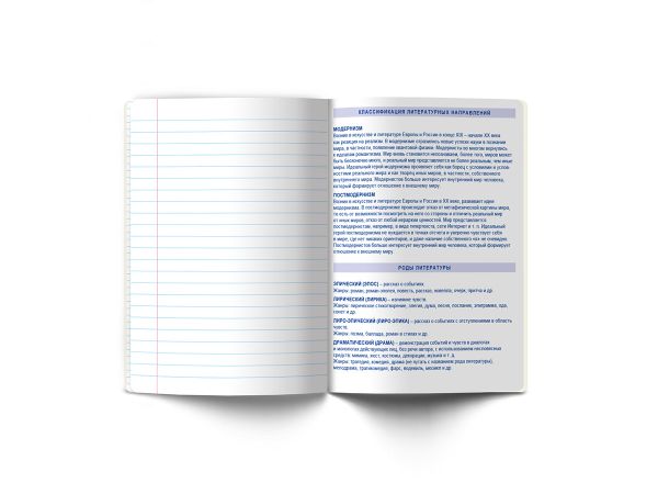 Тетрадь со справочным материалом Яркие краски, матовая ламинация + выбор. лак, A5+ 48 л. на скобе 65 г/м², белизна 100%, 10 шт, линия, 00869 Литература, Светоч 48Т8