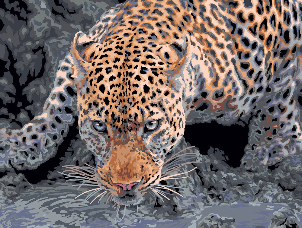 Картина по номерам Фрея PNB/PMC-193, Взгляд хищника, (цветной холст) 40х30 см