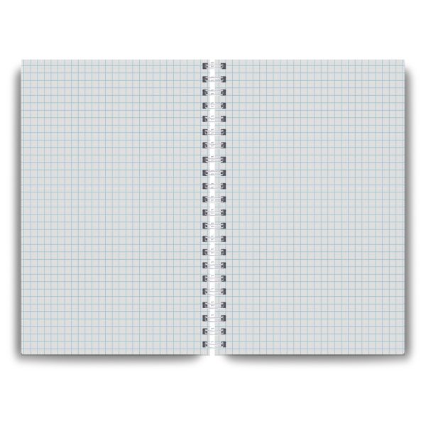 Тетрадь общая с твердой обложкой, глянцевая ламинация A4 80 л. на гребне 65 г/м², белизна 100% 2 шт клетка, 01573 Камень счастья, Светоч Т219