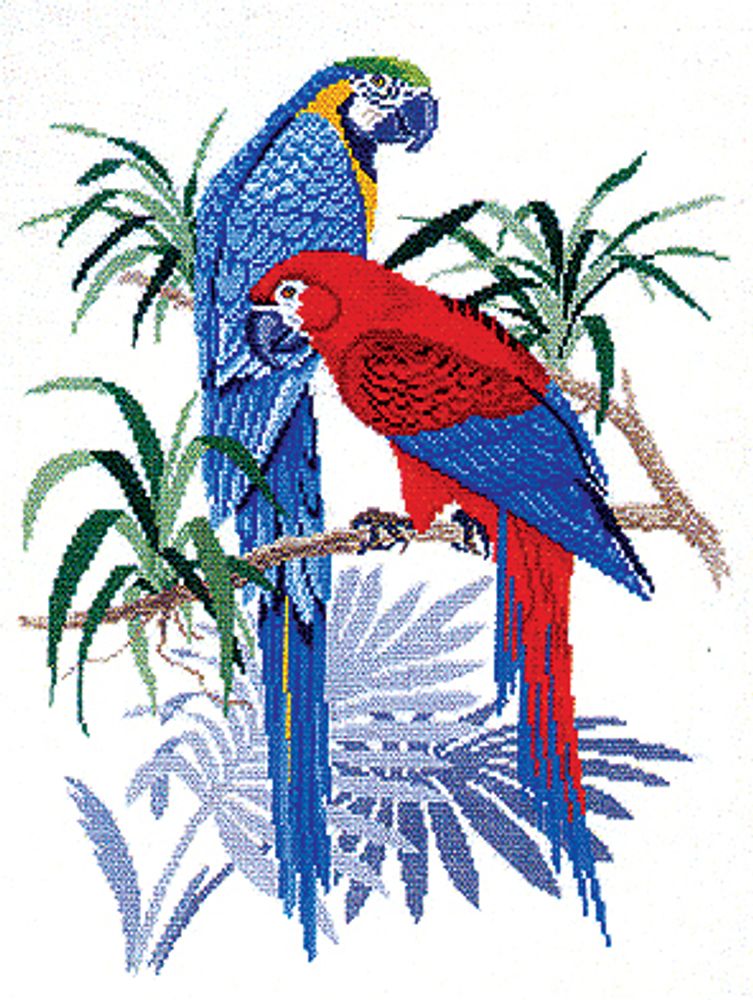 Eva Rosenstand, Два попугая, 55х70 см