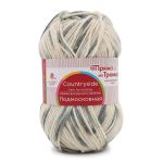 Пряжа Троицкая Подмосковная принт секционный / уп.10 мот. по 100 г, 250 м, 2601 секционный