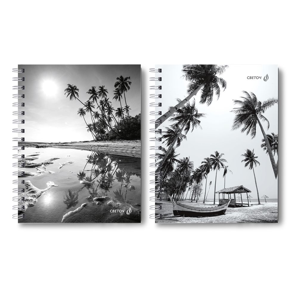 Тетрадь общая с твердой обложкой, матовая ламинация A5 96 л. на гребне 65 г/м², белизна 100% 4 шт клетка, 01558 Сквозь солнечные очки, Светоч Т213