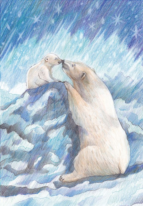 Скетч для раскрашивания цветными карандашами Фрея RPSC-0044, Полярные мишки, 29.5х20.5 см
