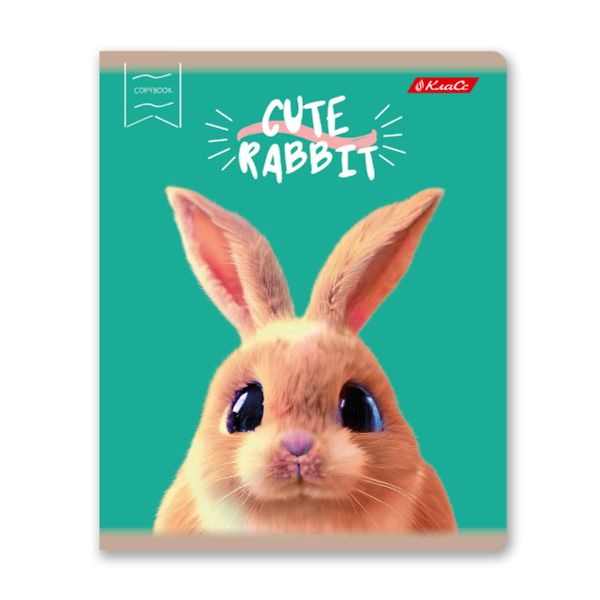 Тетрадь ученическая общая, глянцевая ламинация, A5+ 48 л. на скобе 65 г/м², белизна 100%, 10 шт, клетка в термоусадочной пленке, 000735 Мордашки, Светоч 48ТЕТк-004