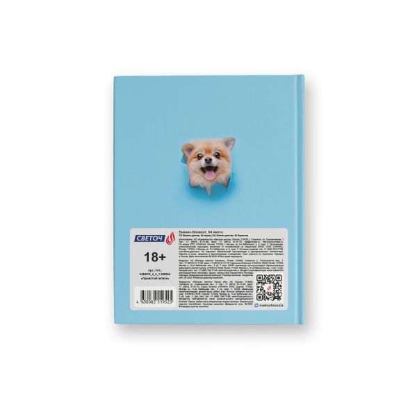 Бизнес-блокнот, глянцевая ламинация, A6 64 л. 24 шт, клетка, Пушистый шпион 000905, Светоч 64ББТ6_4_5_1