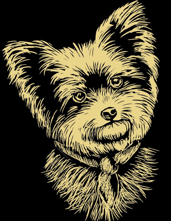 Набор для творчества Гравюра 20х25.5 см, №33 Йоркширский терьер (золото), Hobbius SGHK