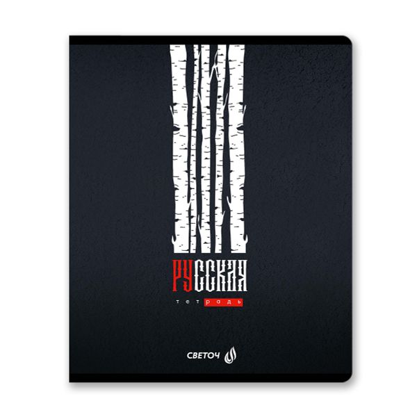 Тетрадь ученическая общая, софт-тач ламинация + выборочный лак, A5+ 96 л. на скобе 65 г/м², белизна 100 %, 5 шт, клетка, 01002 Эстетика Родины, Светоч 96Т17