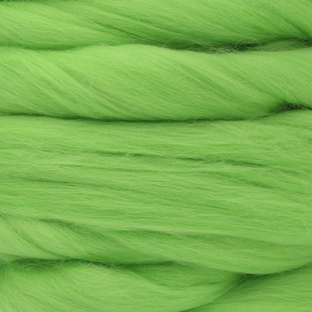 Шерсть для валяния Троицкая п/тонкая 1х100 г (до 29 мкр), 3298 яркий салат