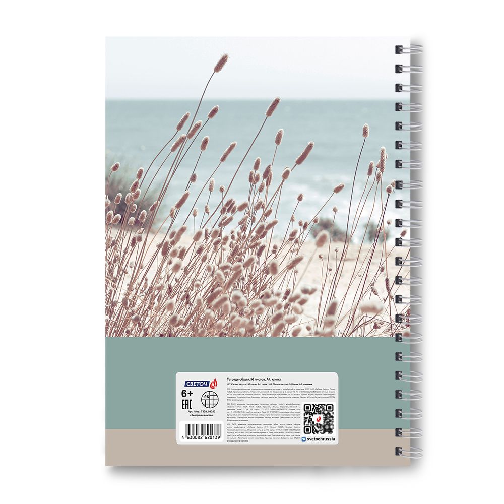 Тетрадь ученическая общая, A4 96 л. на гребне 65 г/м², белизна 100 %, 4 шт, клетка, 01252 Безграничность, Светоч Т129