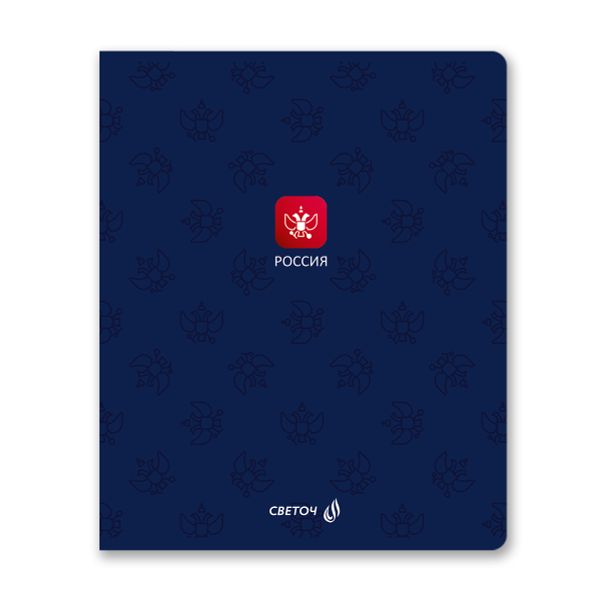Тетрадь ученическая общая, твин лак, A5 48 л. на скобе 65 г/м², белизна 100% 10 шт клетка, 01510 Патриотичная, Светоч Т198