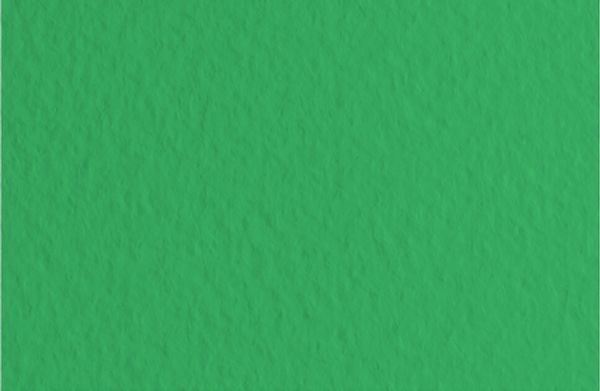 Бумага для пастели Tiziano 160 г/м², A3 29.7х42 см, 25 л, Prato/Травяной, Fabriano, 72942112