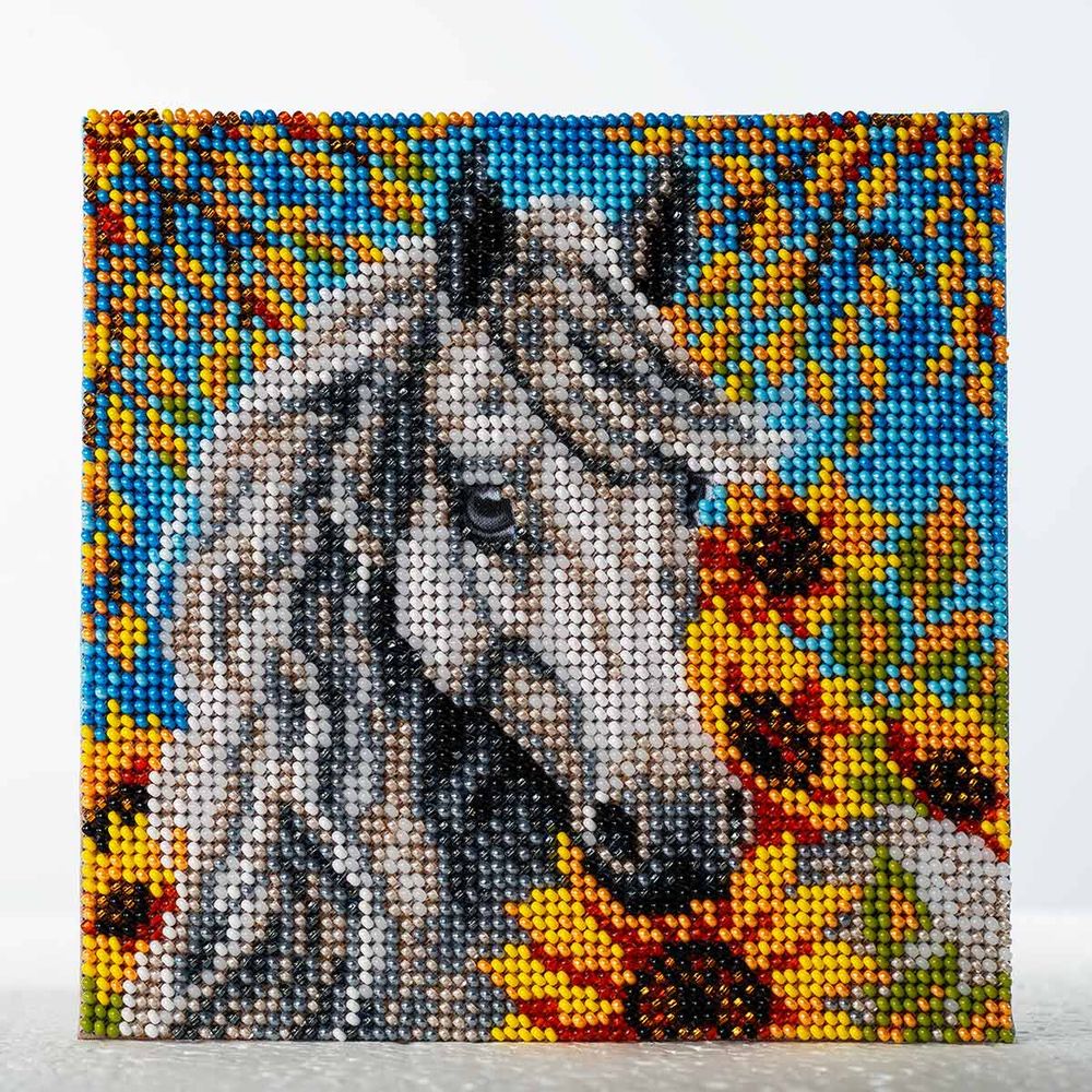 Набор для вышивания бисером Кроше (Радуга бисера) Т27_5205, Бьянка 14х14 см