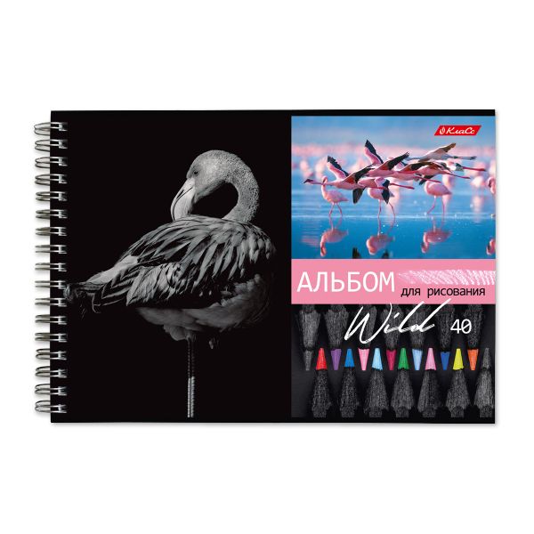 Альбом для рисования, 100 г/м², A4 29х20.5 см, на гребне 40 л., 6 шт, 40АЛГР4_000244 Саванна, Светоч