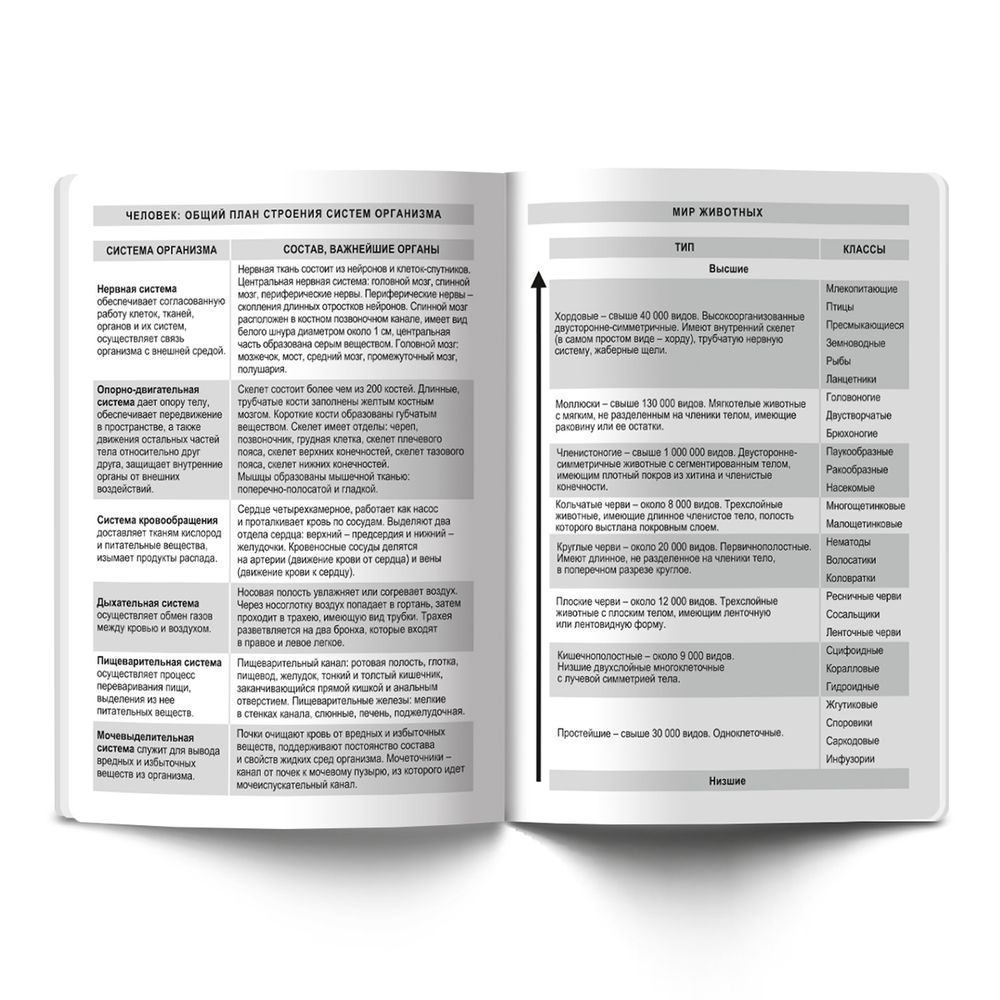 Тетрадь предметная На позитиве A5+ 40 л. на скобе 60 г/м², белизна 90 %, 10 шт, клетка, 40ТСК5_000093 Биология, Светоч 40ТСК5_000093