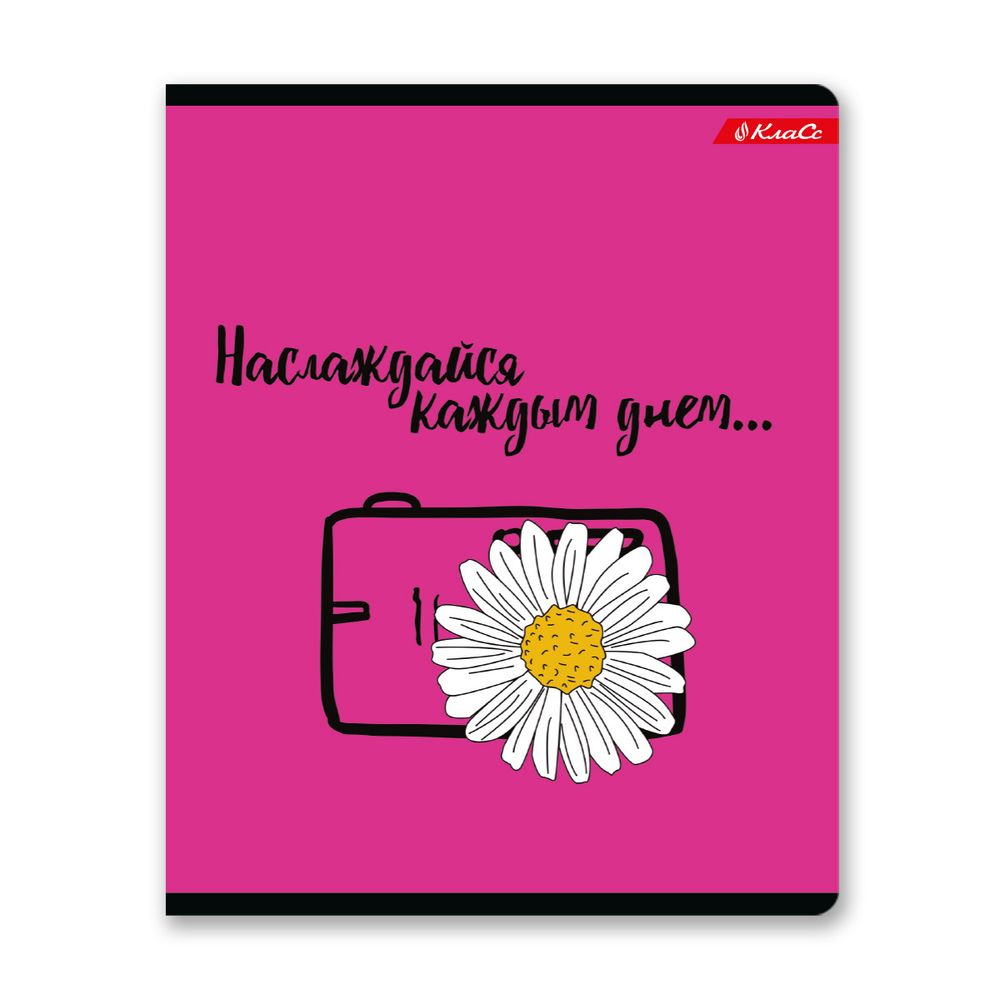 Тетрадь ученическая общая, выборочный лак, A5+ 48 л. на скобе, белизна 100%, 10 шт, клетка, 000316 В лето за мечтой, Светоч 48ТСК5_4_3_1