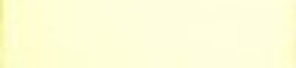 Нитки вышивальные вискоза Madeira Rayon №40, 1000 м, цв. 1222, 9841, 5 катушек