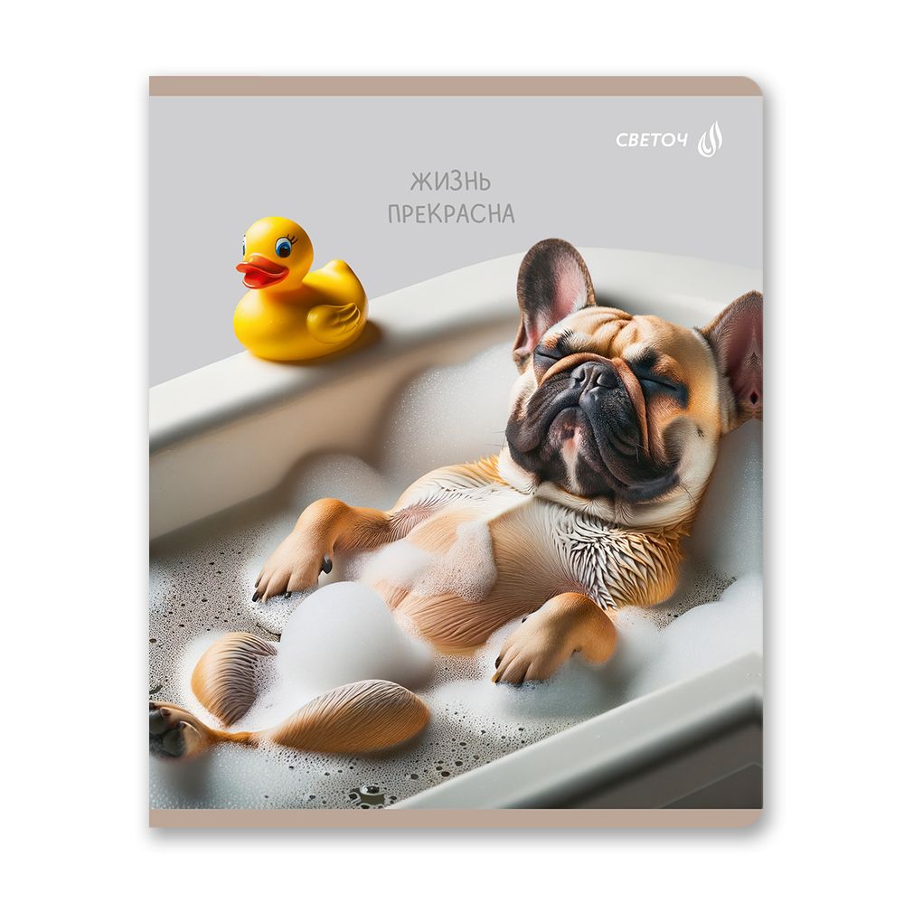 Тетрадь ученическая общая, глянцевая ламинация A5 80 л. на скобе 65 г/м², белизна 100% 5 шт клетка, 01527 Жизнь хороша!, Светоч Т203