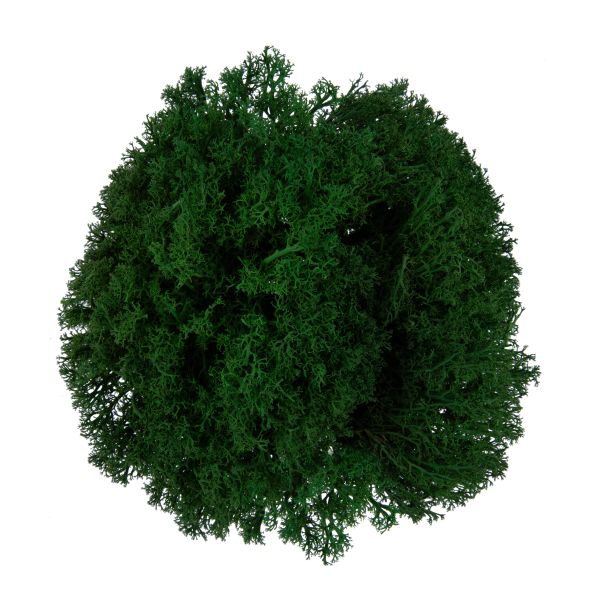 Мох королевский ягель стабилизированный окрашенный 45±5 г, №02 т. зеленый, Blumentag