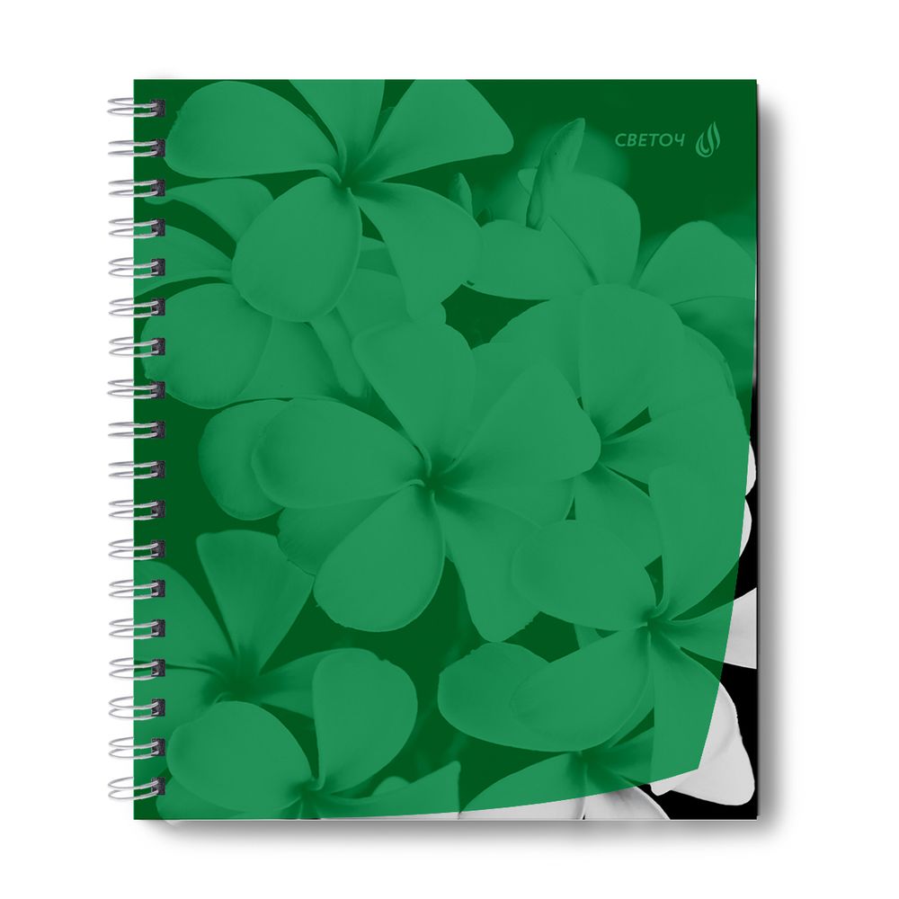 Тетрадь общая с пластик. обложкой, ч/б запечат. титульн.лист, 180 мкм, A5 48 л. на гребне 65 г/м², белизна 100% 4 шт клетка, 01548 Утренний пейзаж, зелёная, Светоч Т208