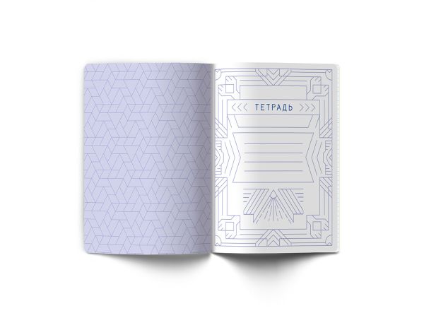 Тетрадь со справочным материалом Линия успеха, софт тач ламинация + тиснение фольгой, A5+ 48 л. на скобе 65 г/м², белизна 100%, 10 шт, линия, 000577 Русский язык, Светоч 48ТПСК5_126_2_2