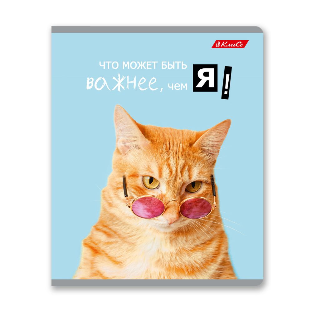 Тетрадь ученическая общая, A5+ 48 л. на скобе 65 г/м², белизна 100%, 10 шт, клетка в термоусадочной пленке, 000752 Смешные и шерстяные, Светоч 48ТЕТк-001